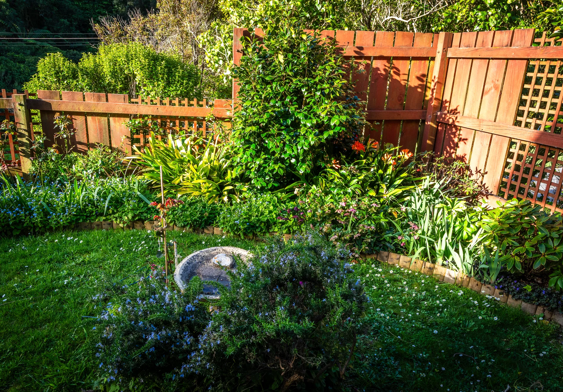 Wellington landscaping - Beautiful garden bed with native plants and flowers