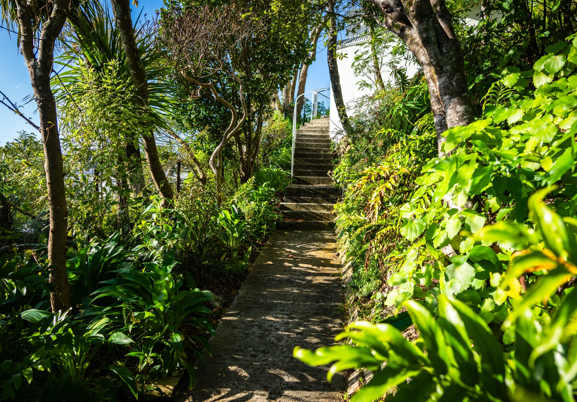Wellington garden stairs - Landscaped garden steps with surrounding plantings